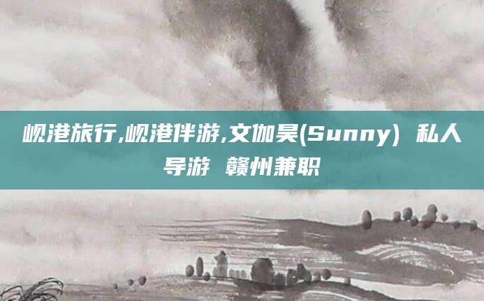湛江岘港旅行,岘港伴游,文伽昊(Sunny) 私人导游 赣州兼职