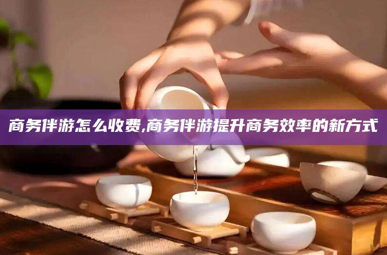 湛江商务伴游怎么收费,商务伴游提升商务效率的新方式